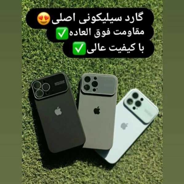 1702189362078.webp